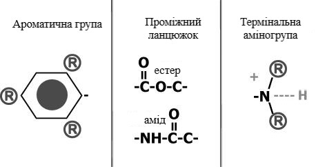 File:Хімічна структура місцевих анестетиків.jpg