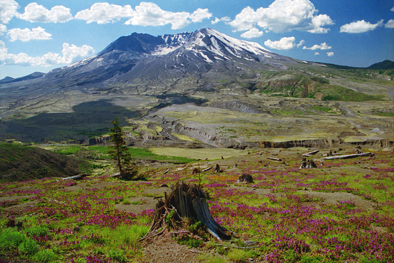 are dogs allowed in mt st helens national monument