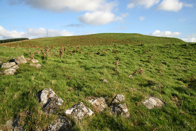 File:Black Law - geograph.org.uk - 1012773.jpg