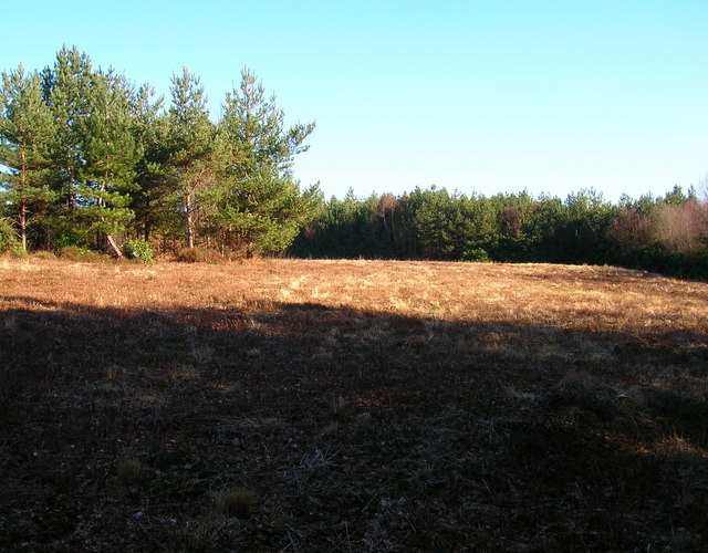 Cleared Area, Hargate Forest - geograph.org.uk - 695891