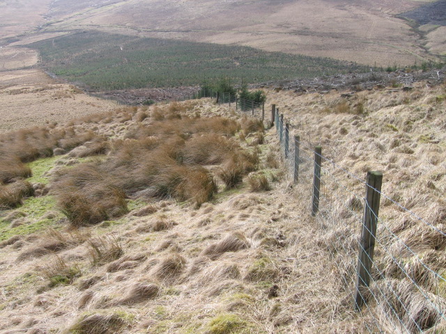 File:Coom Rig - geograph.org.uk - 719717.jpg