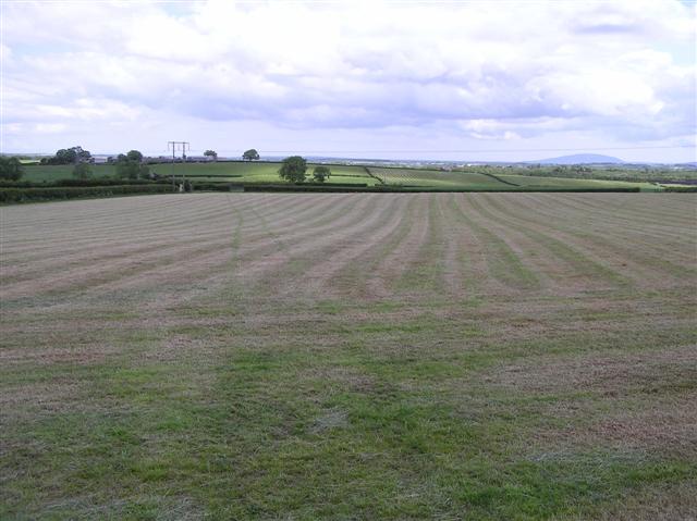 File:Dromore Townland - geograph.org.uk - 830533.jpg