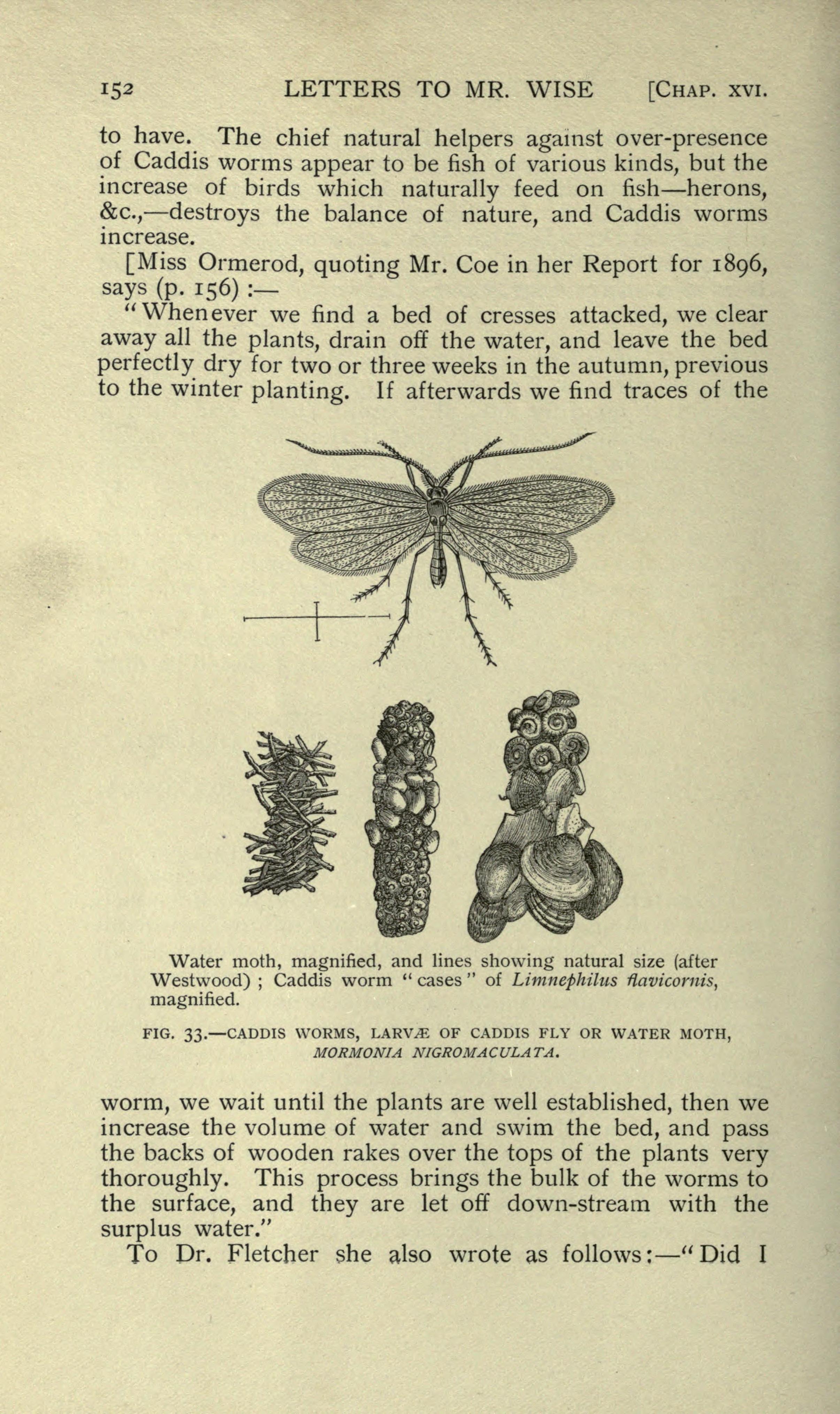 Eleanor_Ormerod%2C_LI._D.%2C_economic_entomologist_%28Page_152%29_BHL19857792.jpg