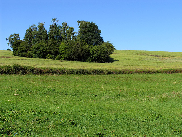 File:Fallow farmland in Woolhampton - geograph.org.uk - 26849.jpg