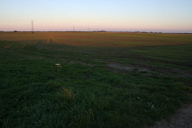 File:Farmland on Deeping Fen - geograph.org.uk - 589855.jpg