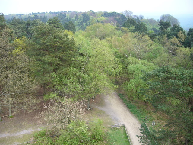 File:Greensand Way at Leith Hill - geograph.org.uk - 979273.jpg