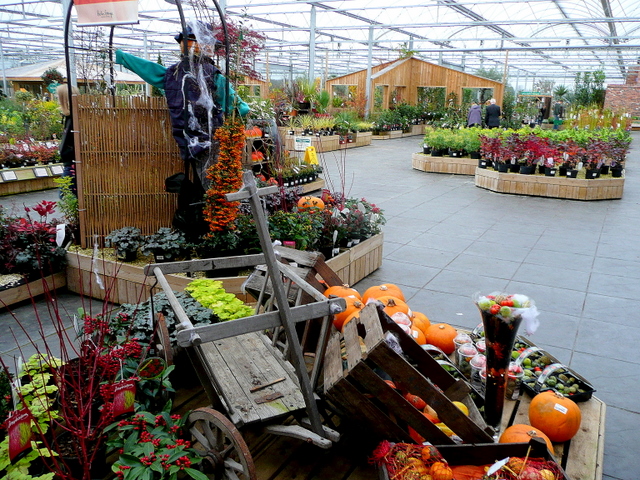 File:Halloween display at Barton Grange - geograph.org.uk - 1587353.jpg