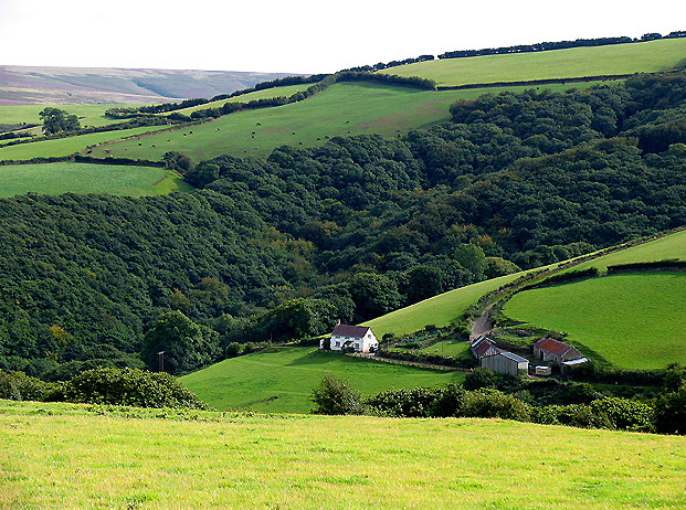 Hawkcombe Woods