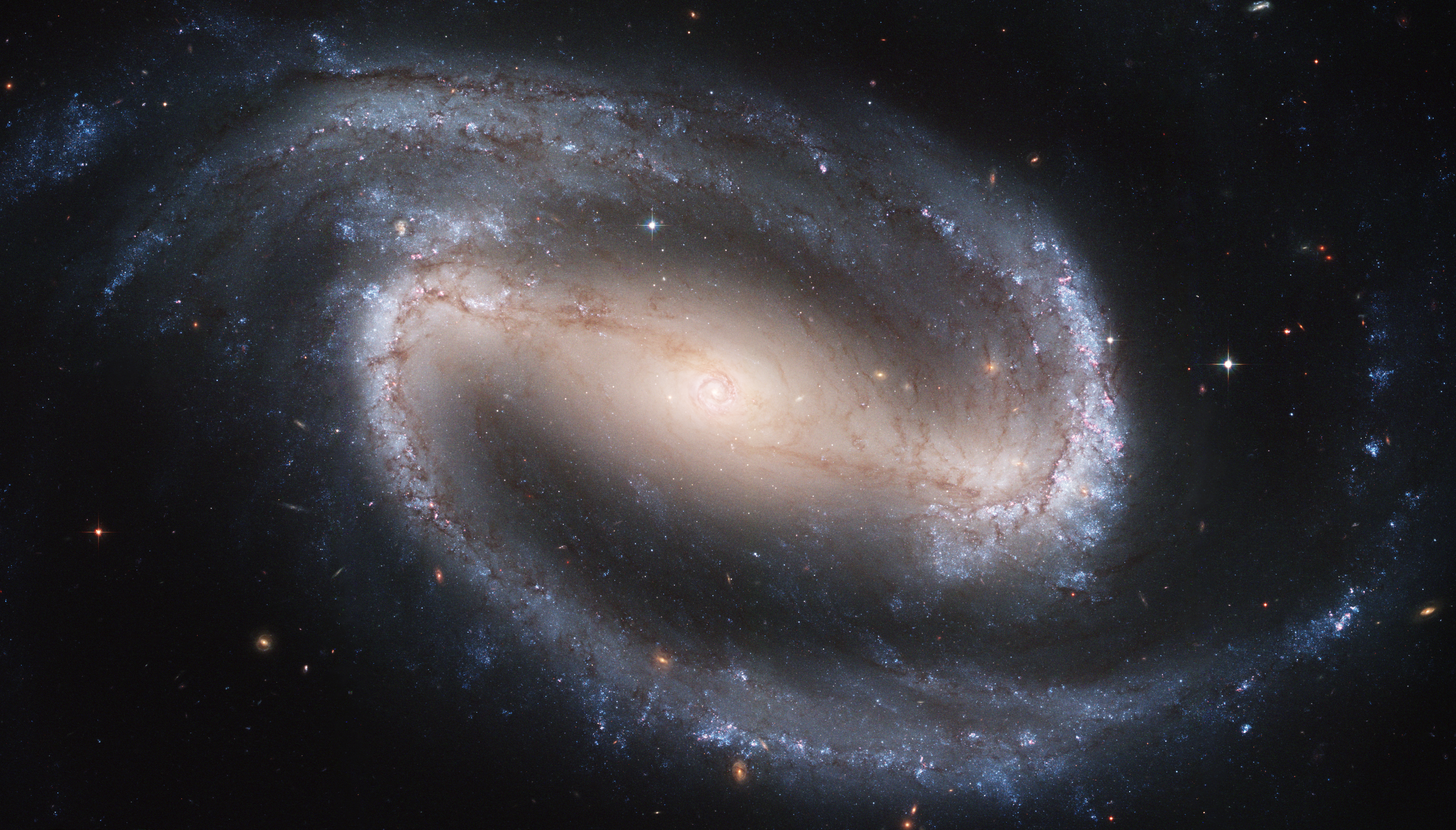 https://upload.wikimedia.org/wikipedia/commons/5/52/Hubble2005-01-barred-spiral-galaxy-NGC1300.jpg