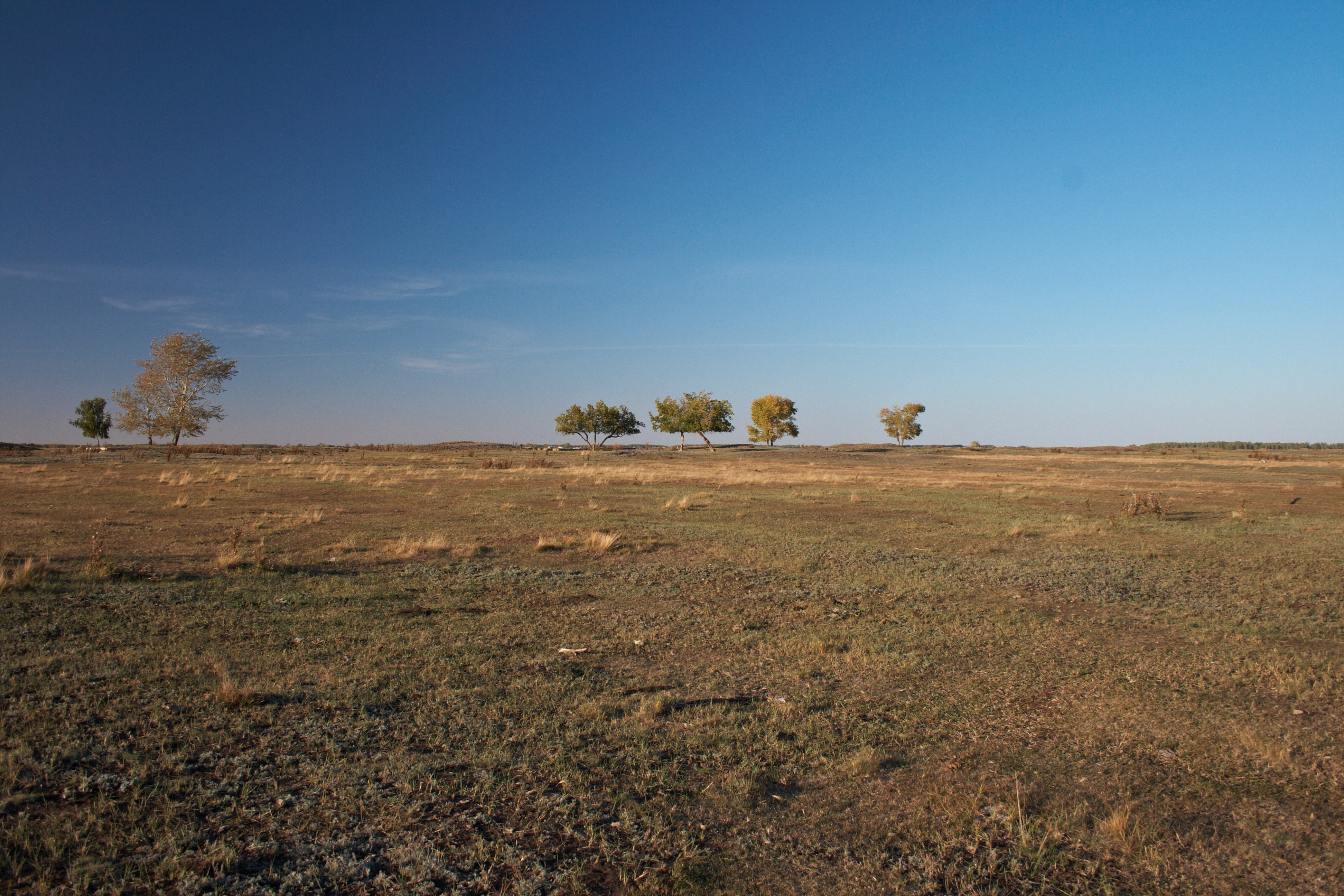 Гагарино