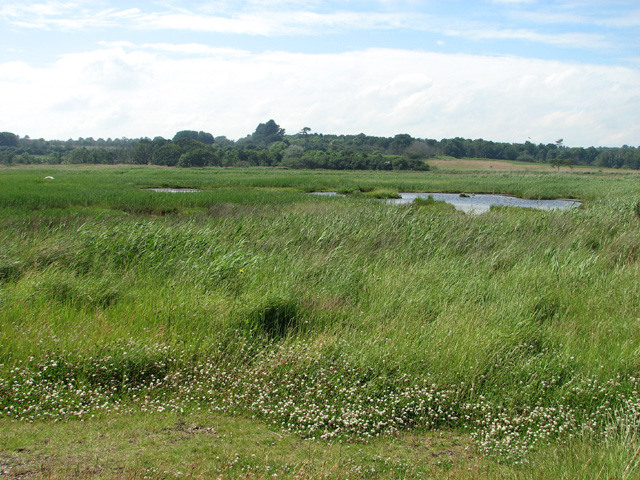 Marshland beside Dunwich River - geograph.org.uk - 3023936