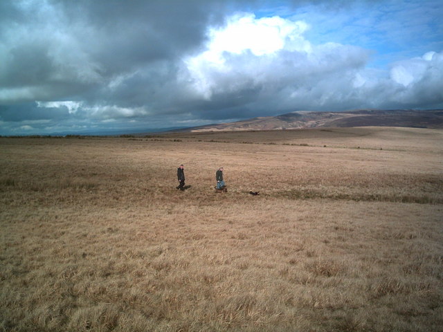 Mynydd y Betws