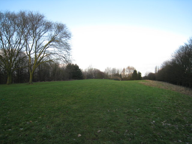 File:Open ground between Brighton Hill and M3 - geograph.org.uk - 1713630.jpg