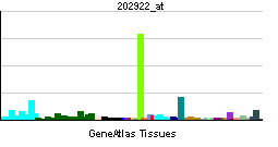 File:PBB GE GCLC 202922 at tn.png