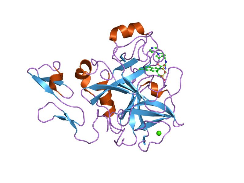 File:PDB 1iqe EBI.jpg