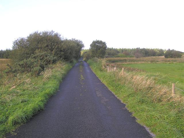 File:Road at Cloonty - geograph.org.uk - 1482233.jpg