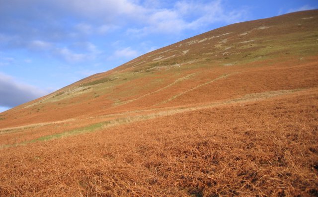 File:Snow free winter fell. - geograph.org.uk - 98717.jpg