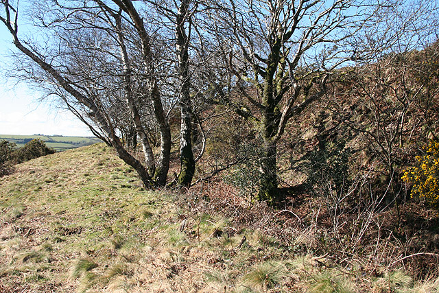 St Ive, Cadsonbury - geograph.org.uk - 715468