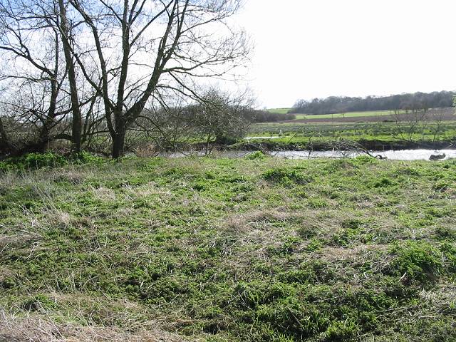 File:The river Stour where the footpath emerges from Westbere Marshes - geograph.org.uk - 371251.jpg