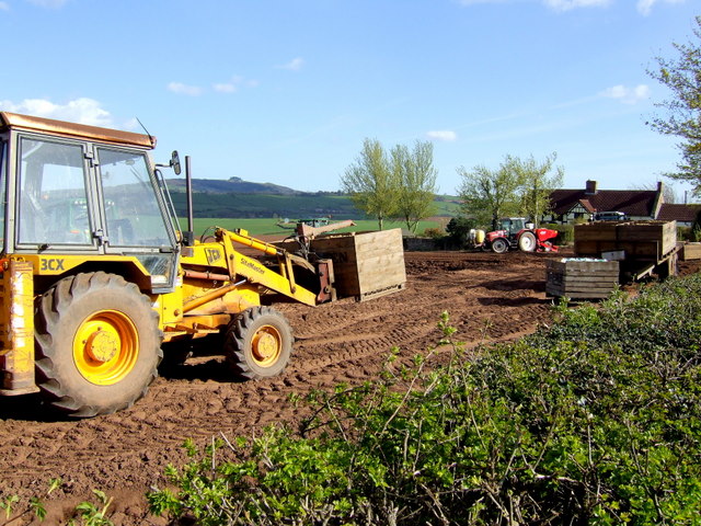 File:The spuds are going in 4 - geograph.org.uk - 1243139.jpg