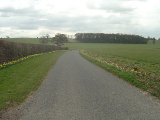 File:The way to Orton wood - geograph.org.uk - 760649.jpg