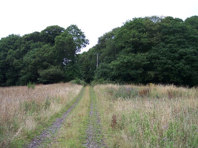 File:Toney's Coppice, Howler's Heath - geograph.org.uk - 32104.jpg