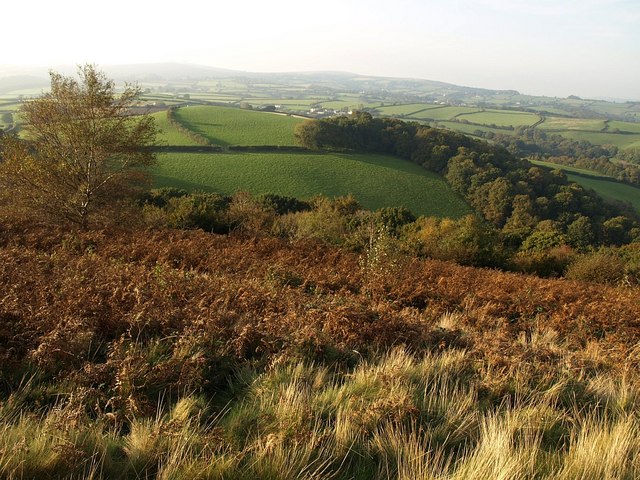 File:View from Ramshorn Down - geograph.org.uk - 1013200.jpg