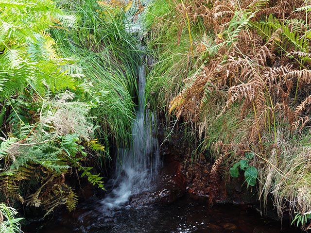 File:Waterfall at Moorside - geograph.org.uk - 576520.jpg
