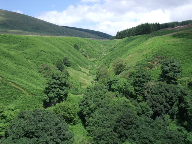 File:"Burn of Care" near Castle Campbell - geograph.org.uk - 1482415.jpg