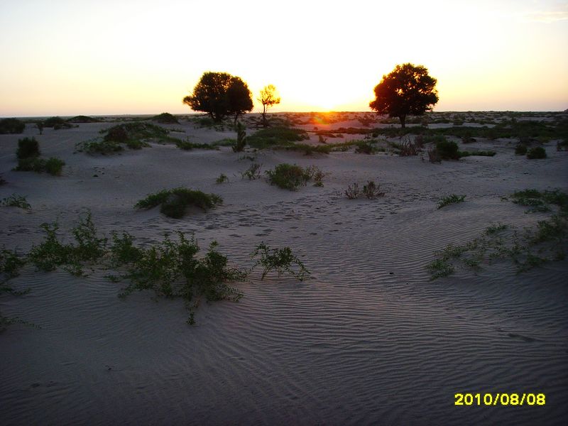 File:沙漠清晨 - panoramio.jpg