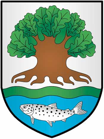 File:BIA Ostrowiec COA.jpg