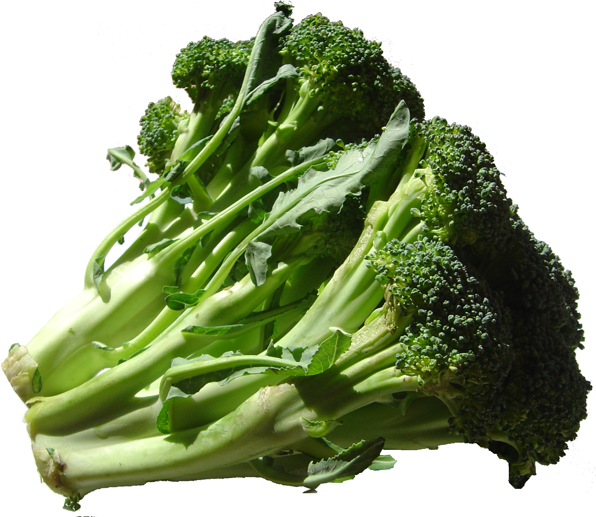 broccoli is healthy food for babies under 1 year