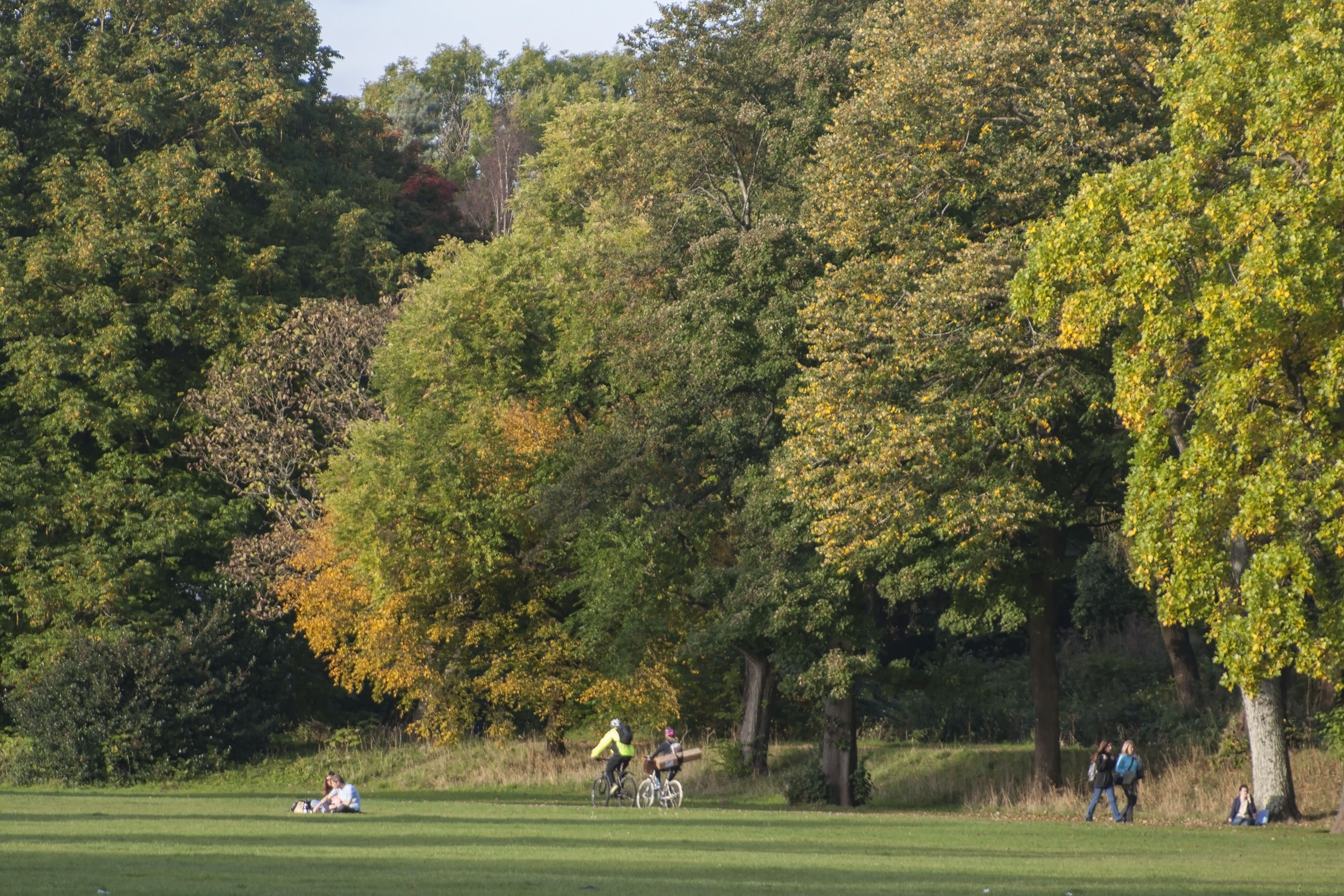 Bute Park - Wikipedia