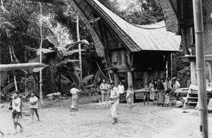 File:COLLECTIE TROPENMUSEUM Dorpsgezicht met dorpsbewoners en rijstschuren TMnr 20000090.jpg