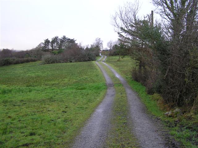 File:Derrylahan Townland - geograph.org.uk - 1089633.jpg