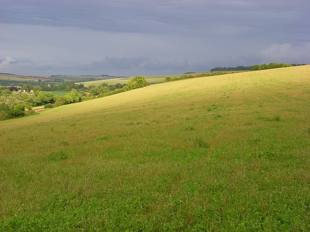 File:Downland, Hanging Langford - geograph.org.uk - 475896.jpg