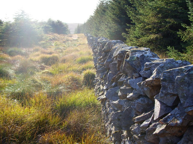 File:Drystone Dyke at Mullknock - geograph.org.uk - 566381.jpg