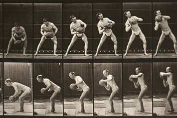 File:Eadweard Muybridge‘s work.jpg