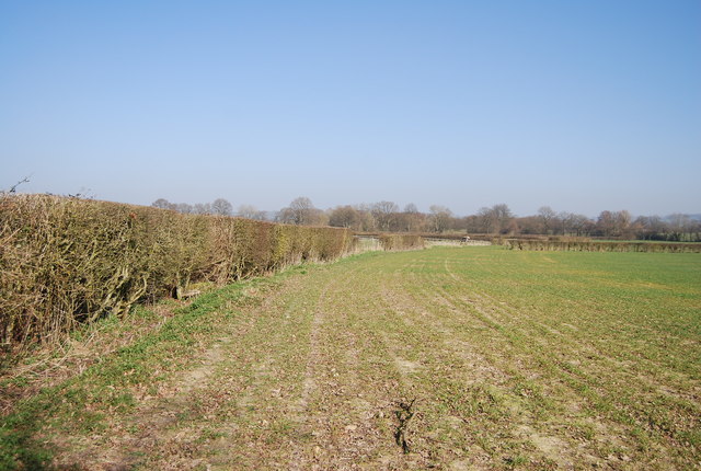 File:Field boundary - geograph.org.uk - 3922638.jpg