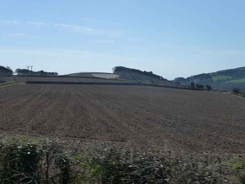 File:Field south of the railway at Ballaskeig - geograph.org.uk - 1884332.jpg