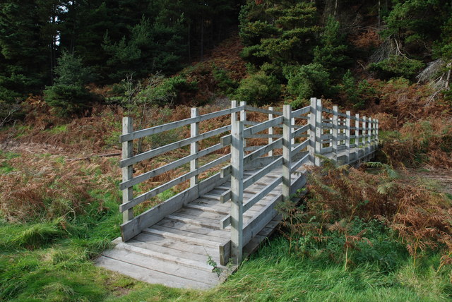 File:Footbridge over Carey Burn - geograph.org.uk - 1003484.jpg