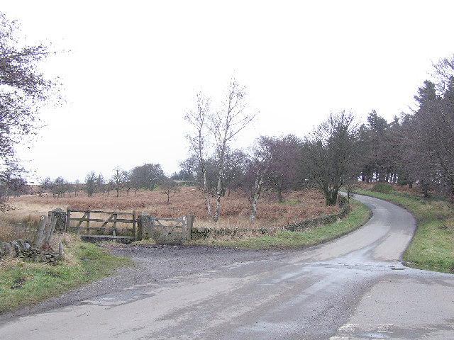 File:Fox Lane. - geograph.org.uk - 121847.jpg