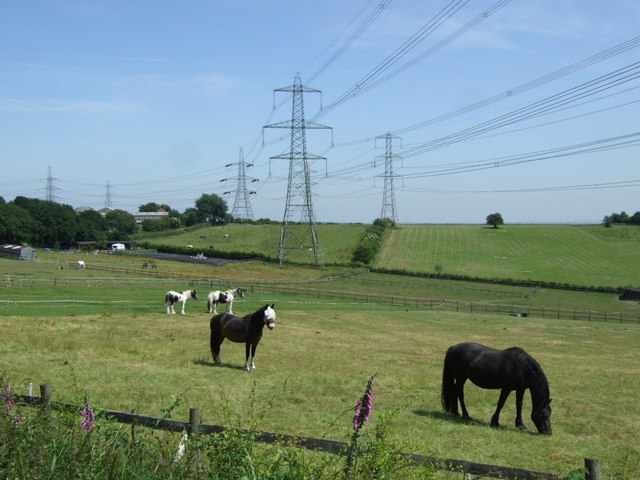 File:Grazing and power lines - geograph.org.uk - 3552621.jpg