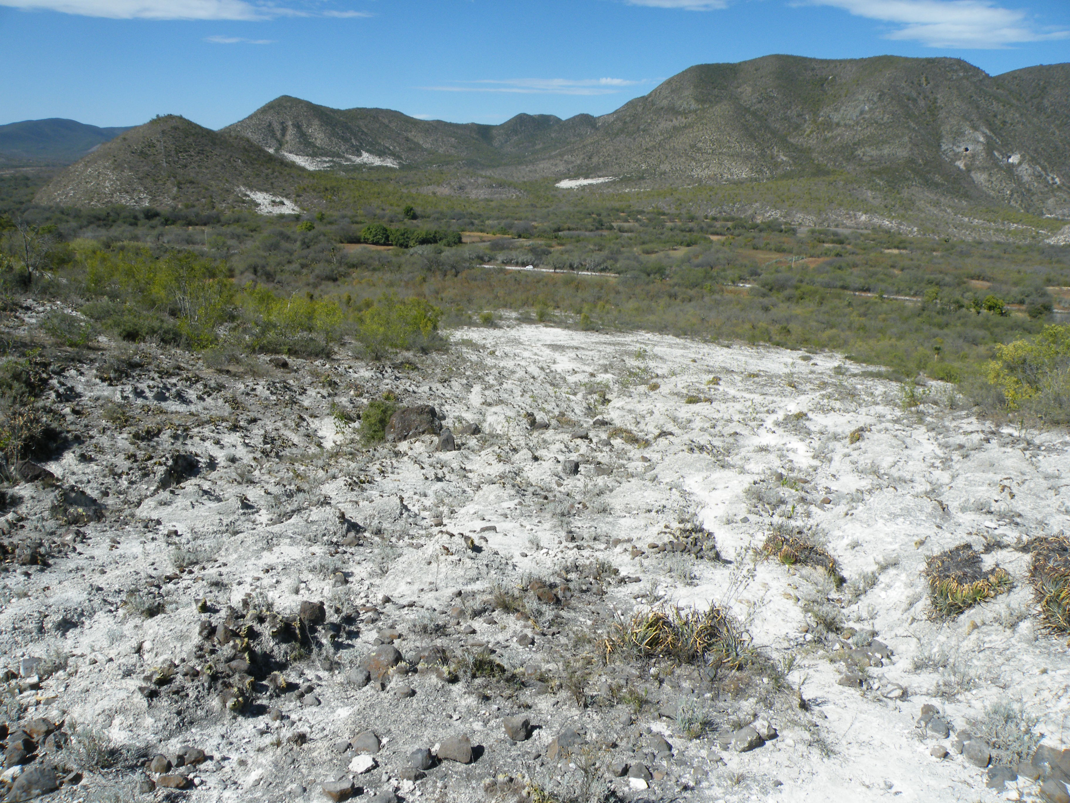 Guaxcama, San Luis Potosi (5703135041).jpg