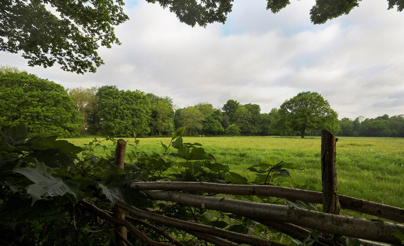 File:Kenley Common - geograph.org.uk - 1767250.jpg