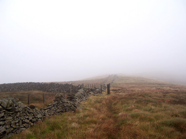 File:March Dyke with fences - geograph.org.uk - 276441.jpg