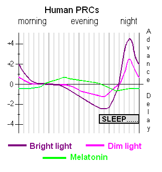 Phase response curves for light and for melatonin administration