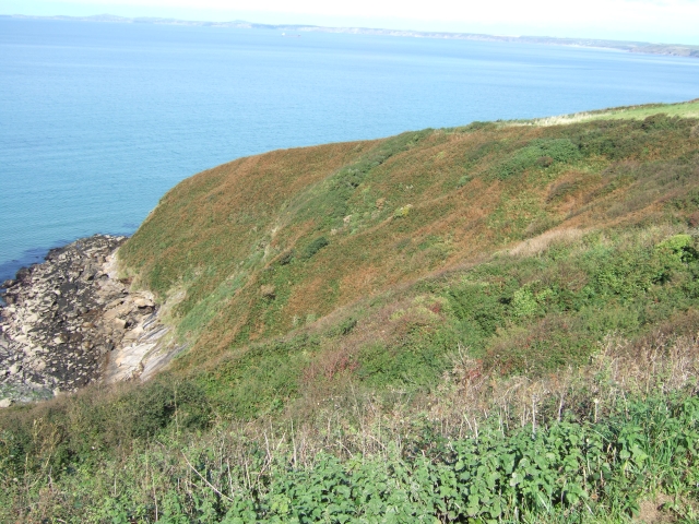 Point on east side of Musselwick - geograph.org.uk - 1538402