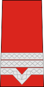 File:RO ARMY WO-2.png