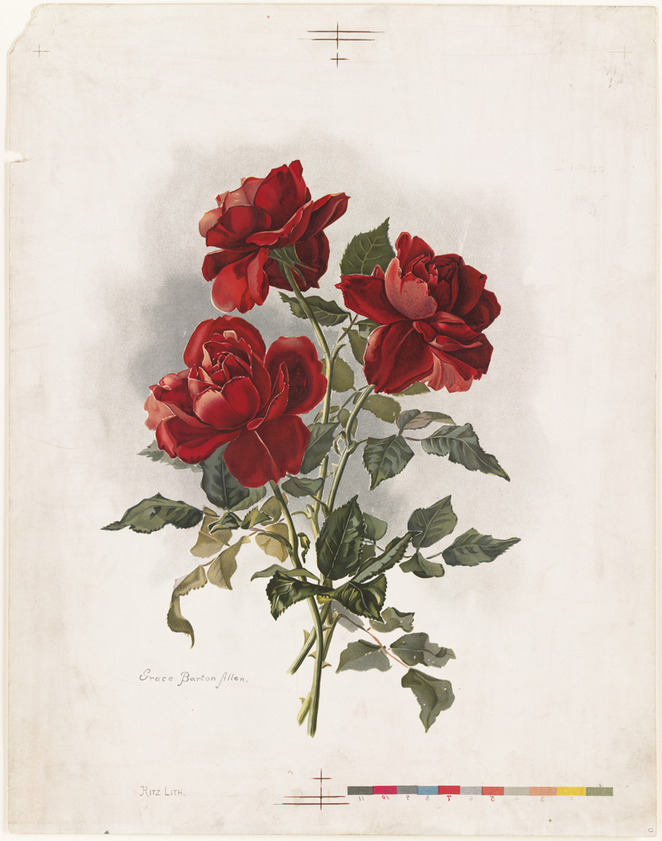 Image result for public domain  roses\"